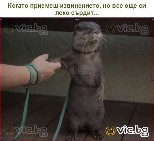 Когато приемеш извинението, но все още си леко сърдит...