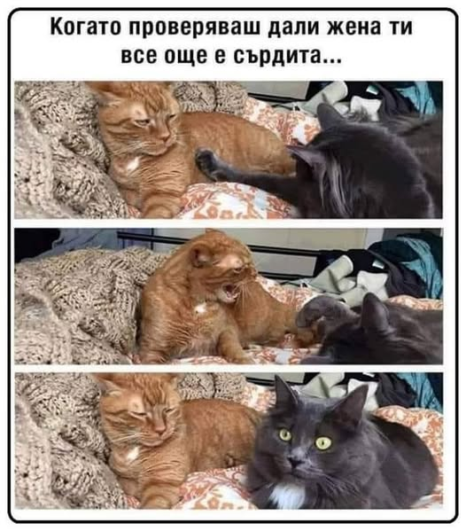 Когато проверяваш дали жена ти все още е сьрдита...