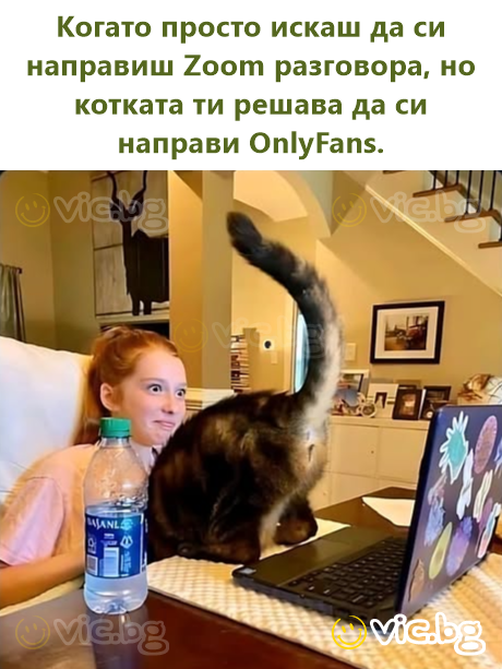 Когато просто искаш да си направиш Zoom разговора, но котката ти решава да си направи OnlyFans.