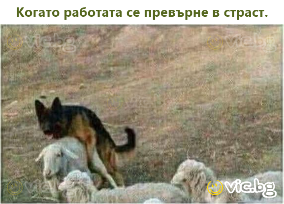 Когато работата се превърне в страст.