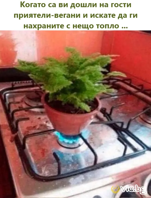 Когато са ви дошли на гости приятели-вегани и искате да ги нахраните с нещо топло ...
