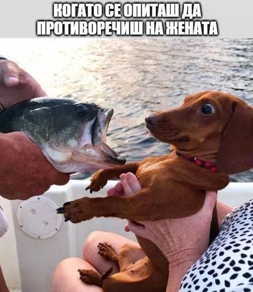Когато се опиташ да противоречиш на жената ..