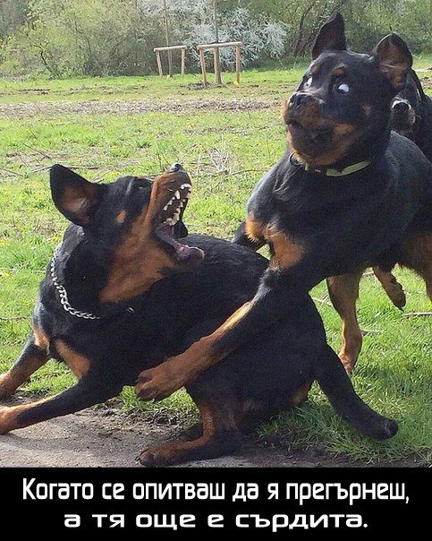 Когато се опиташ да я прегърнеш, а тя ти е още сърдита