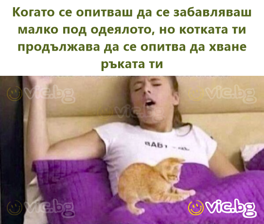 Когато се опитваш да се забавляваш малко под одеялото, но котката ти продължава да се опитва да хване ръката ти