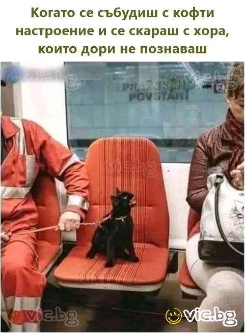 Когато се събудиш с кофти настроение и се скараш с хора, които дори не познаваш