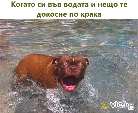 Когато си във водата и нещо те докосне по крака