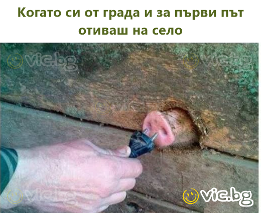 Когато си от града и за първи път отиваш на село