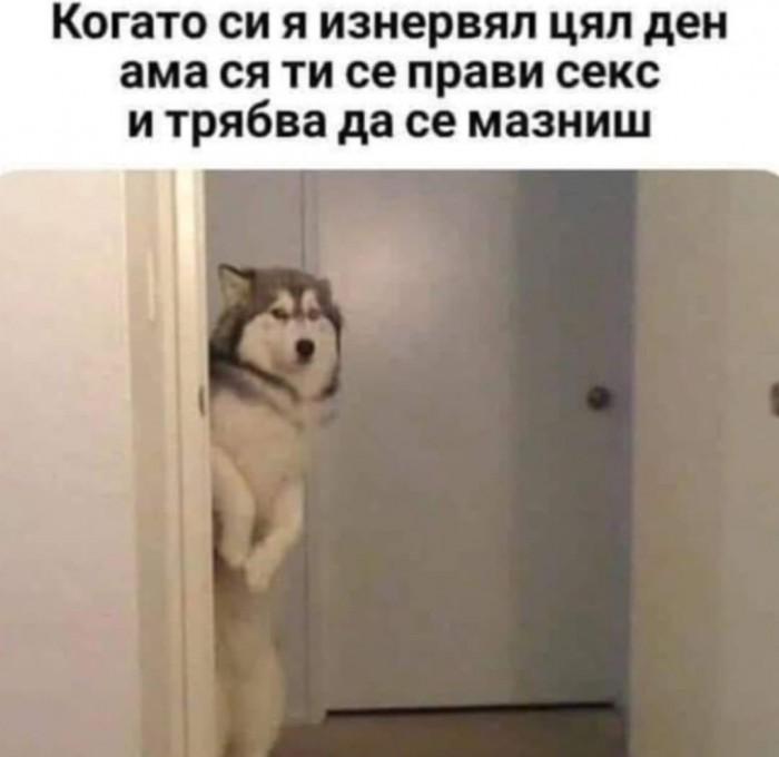 Когато си я изнервял цял ден ама ся ти се прави секс и трябва да се мазниш