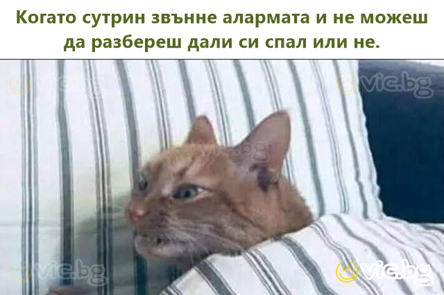 Когато сутрин звънне алармата и не можеш да разбереш дали си спал или не.