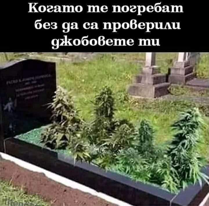 Когато те погребат без да са проверили джобовете mu