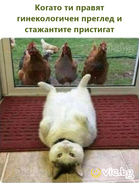 Когато ти правят гинекологичен преглед и стажантите пристигат