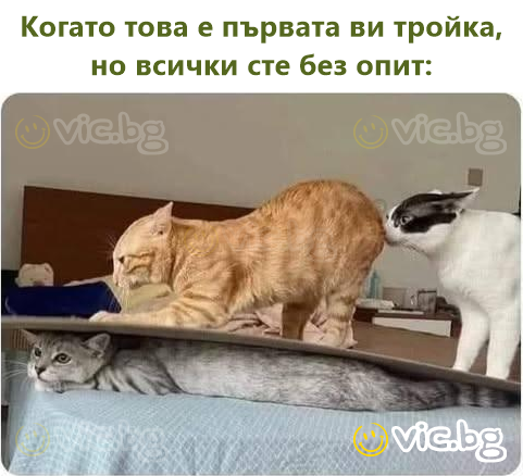 Когато това е първата ви тройка, но всички сте без опит: