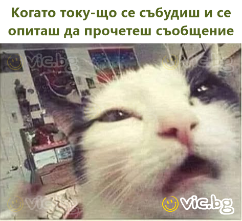 Когато току-що се събудиш и се опиташ да прочетеш съобщение