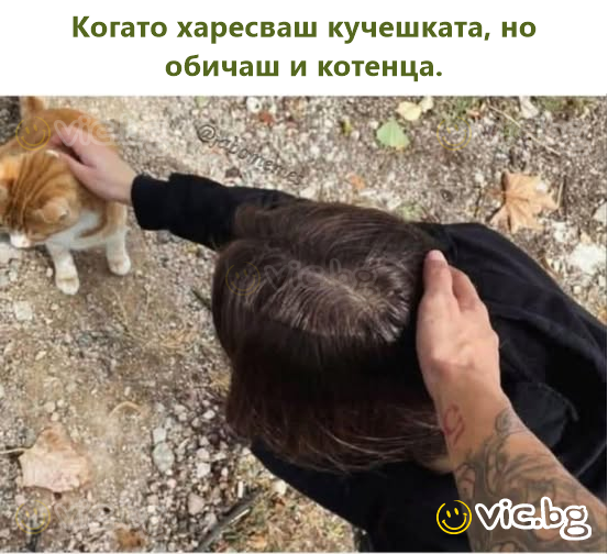 Когато харесваш кучешката, но обичаш и котенца.