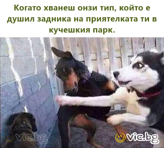 Когато хванеш онзи тип, който е душил задника на приятелката ти в кучешкия парк.