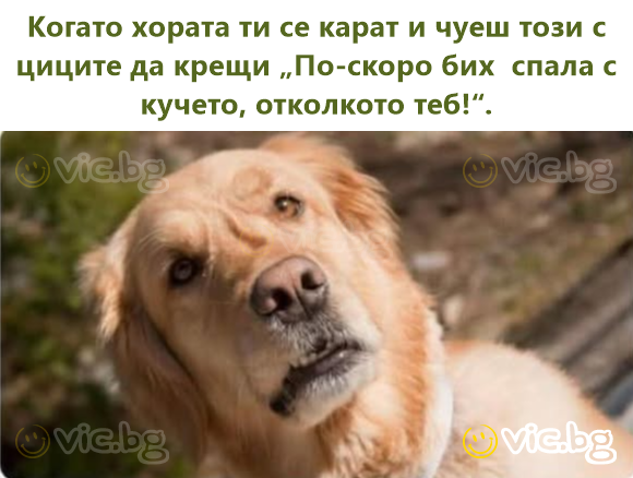 Когато хората ти се карат и чуеш този с цициte да крещи „По-скоро бих  спала с кучето, отколкото теб!“.