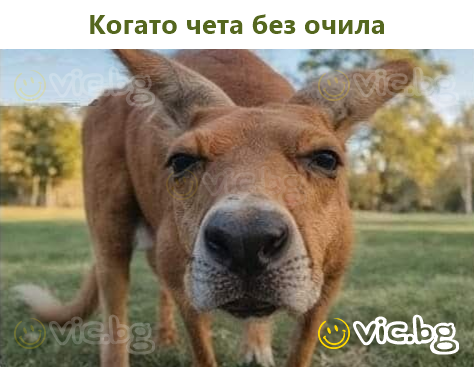 Когато чета без очила