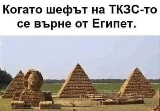 Когато шефът на ТКЗС-то се върне от Египет.
