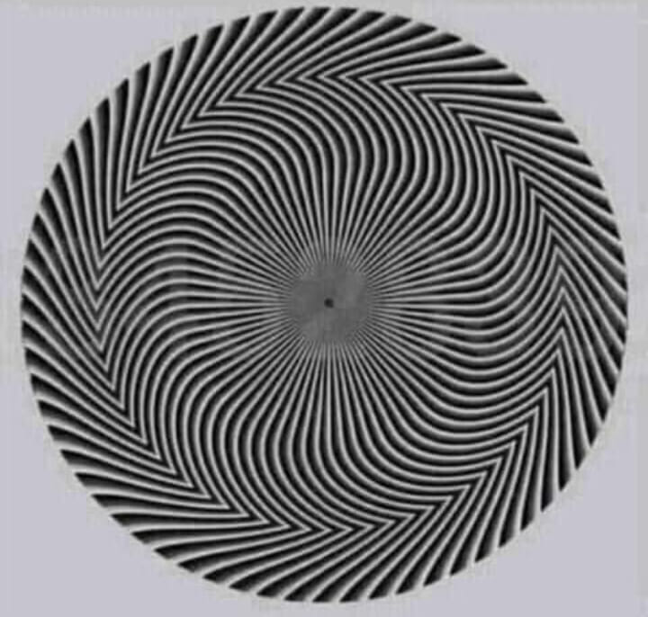 Кое е числото?