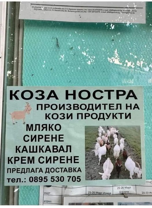 Коза ностра производител на кози продукти мляко сирене кашкавал крем сирене предлага доставка