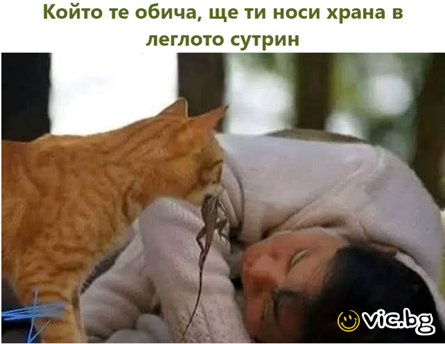 Който те обича, ще ти носи храна в леглото сутрин