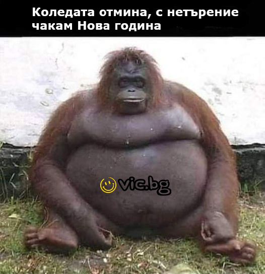 Коледата отмина, с нетърпение чакам Нова Година