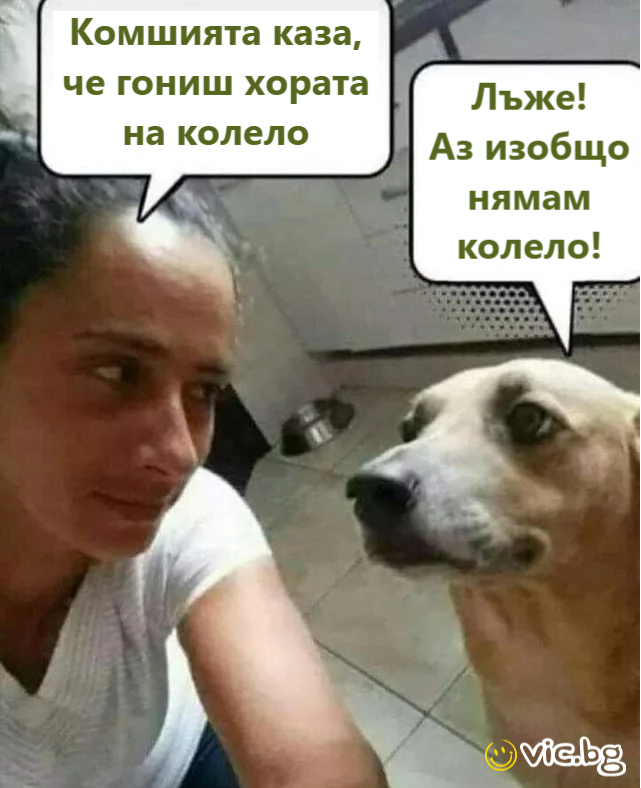 Комшията каза, че гониш хората на колело.- Лъже! Аз изобщо нямам колело!