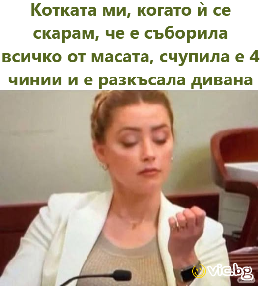 Котката ми, когато й се скарам, че е съборила всичко от масата, счупила е 4 чинии и е разкъсала дивана