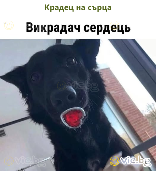 Крадец на сърца