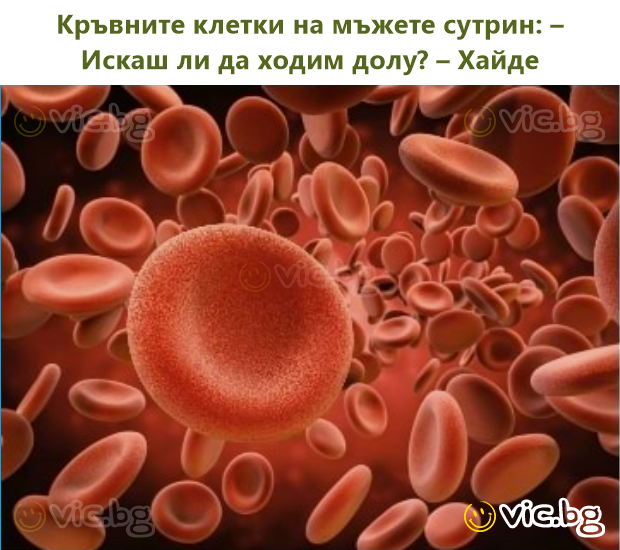 Кръвните клетки на мъжете сутрин: – Искаш ли да ходим долу? – Хайде