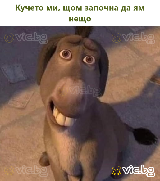 Кучето ми, щом започна да ям нещо