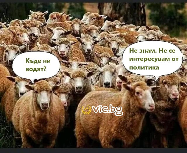 Къде ни водят? Не знам, не се интересувам от политика