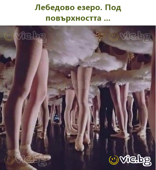 Лебедово езеро. Под повърхността ...