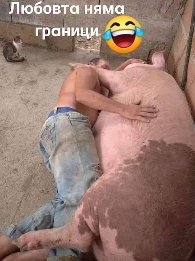 Любовта няма граници