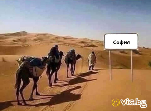 Лятна София