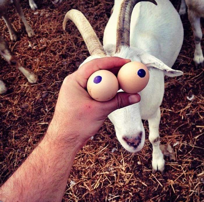 Малко тъп селски хумор