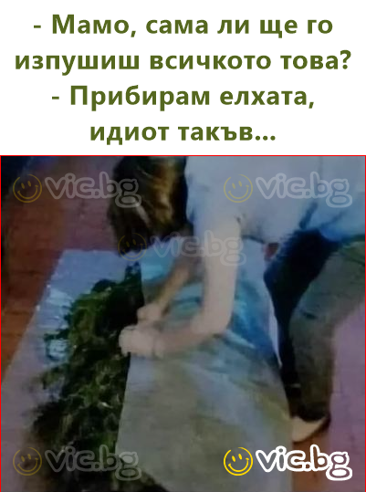 - Мамо, сама ли ще го изпушиш всичкото това?  - Прибирам елхата, идиot такъв...