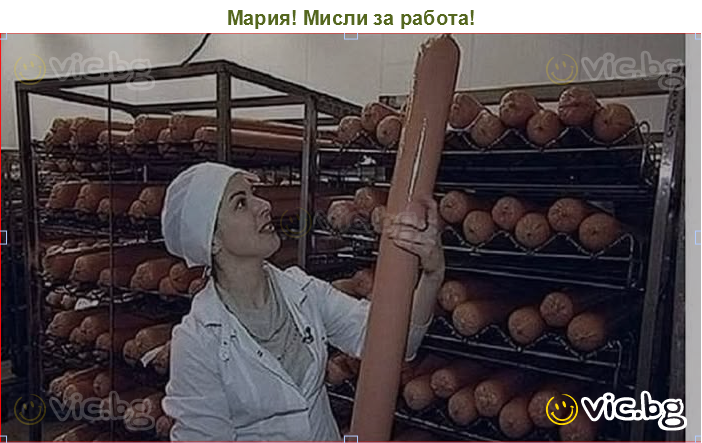 Мария! Мисли за работа!