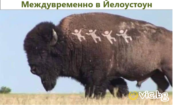 Междувременно в Йелоустоун