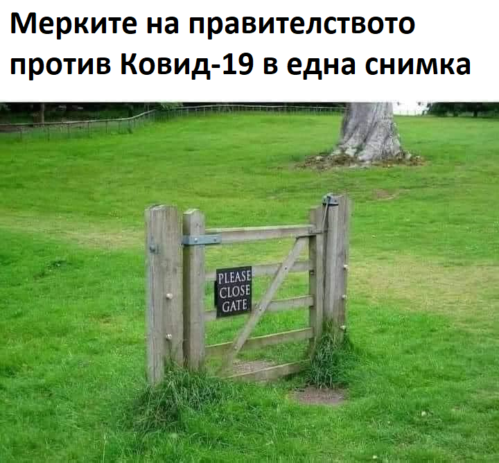 Мерките на правителството против Ковид-19 в една снимка
