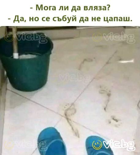 - Мога ли да вляза? - Да, но се събуй да не цапаш.