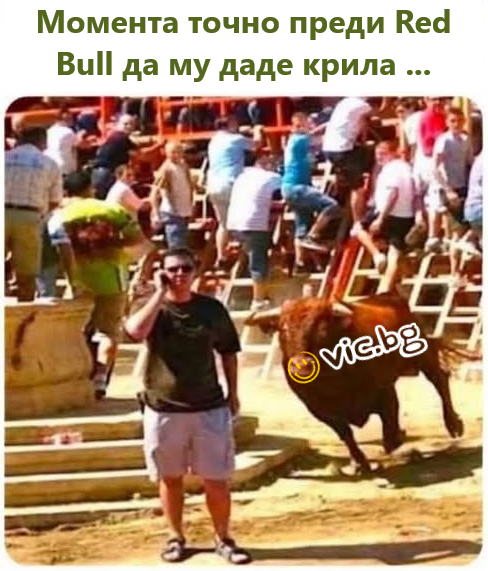 Момента точно преди Red Bull да му даде крила...