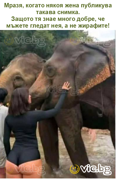 Мразя, когато някоя жена публикува такава снимка.
Защото тя знае много добре, че мъжете гледат нея, а не жирафите!