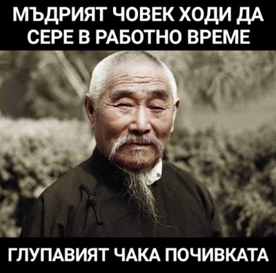 Мъдрият човек ходи да сере в работно време, глупавият чака почивката