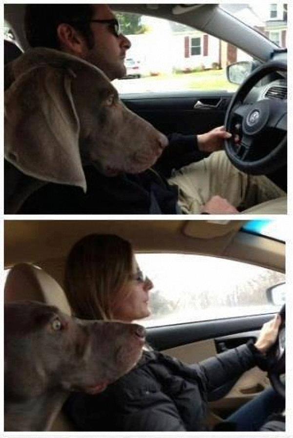 Мъж шофьор и жена шофьор