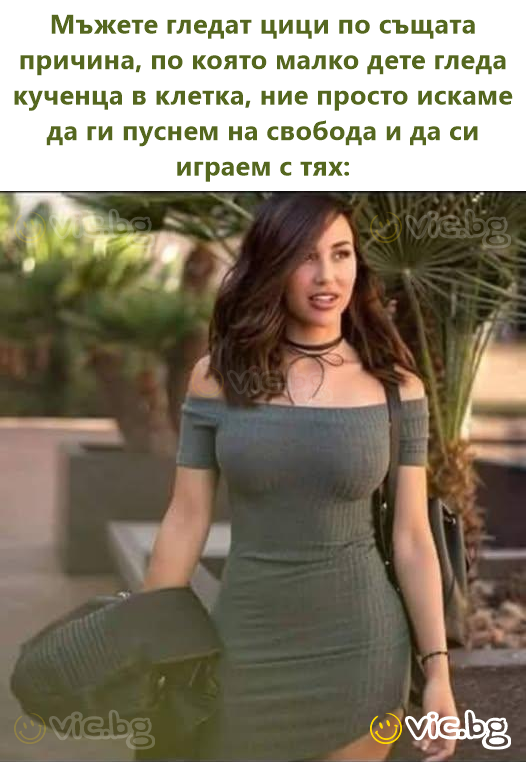 Мъжете гледат цици по същата причина, по която малко дете гледа кученца в клетка, ние просто искаме да ги пуснем на свобода и да си играем с тях: