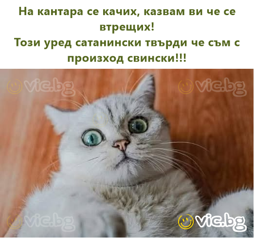 На кантара се качих, казвам ви че се втрещих!  Този уред сатанински твърди че съм с произход свински!!!