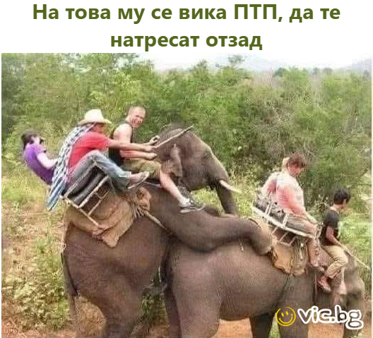 На това му се вика ПТП, да те натресат отзад