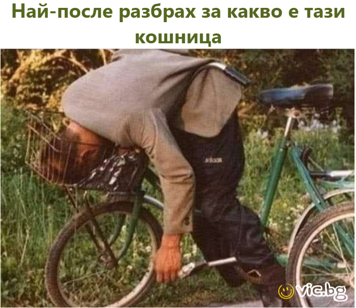 Най-после разбрах за какво е тази кошница