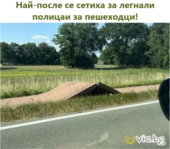 Най-после се сетиха за легнали полицаи за пешеходци!